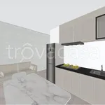 Rent 3 bedroom apartment of 56 m² in Torino