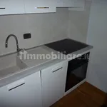 Rent 2 bedroom apartment of 45 m² in Alba