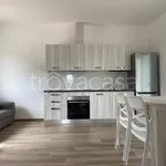 Rent 3 bedroom apartment of 80 m² in Paliano