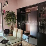 Rent 3 bedroom apartment of 100 m² in Pavia