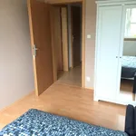 Rent 1 bedroom apartment in Praha - západ