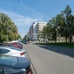 Rent 1 bedroom apartment of 28 m² in Ostrava