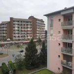 Rent 3 bedroom apartment of 80 m² in San Donato Milanese