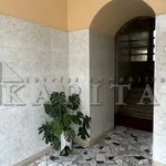 Rent 1 bedroom apartment of 48 m² in Cinisello Balsamo