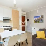 Rent 2 bedroom apartment of 55 m² in Milan