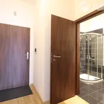 Rent 2 bedroom apartment of 39 m² in Brno