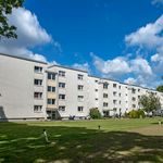 Rent 3 bedroom apartment of 70 m² in Monheim