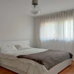 Rent 1 bedroom apartment in Milan