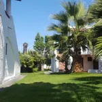 Rent 2 bedroom apartment of 50 m² in Lipari