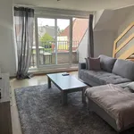 Huur 1 slaapkamer appartement in Waregem