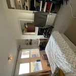 Rent 6 bedroom house in Worcester