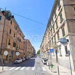 Rent 4 bedroom apartment of 100 m² in Ancona