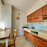 Rent 2 bedroom apartment of 55 m² in Brno