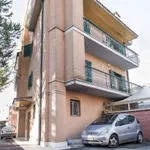 Rent 1 bedroom apartment in Rome