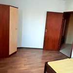 Rent 3 bedroom apartment of 81 m² in Poznan