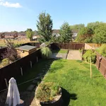 Rent 3 bedroom house in Ashfield