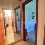 Rent 2 bedroom apartment of 50 m² in Nettuno