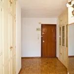 Rent 4 bedroom apartment in Madrid