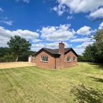 Rent 3 bedroom house in East Midlands