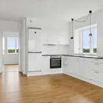 Rent 2 bedroom apartment of 59 m² in Odense C