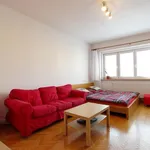 Rent 2 bedroom apartment of 48 m² in Brno