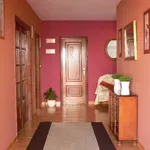 Rent 1 bedroom house in Pontevedra']