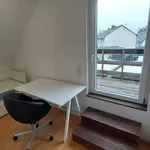 Rent 1 bedroom apartment of 12 m² in Hürth