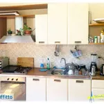 Rent 3 bedroom apartment of 120 m² in Turin