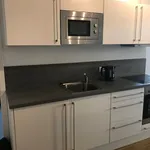 Rent 1 bedroom apartment of 36 m² in München