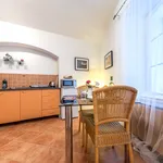 Rent 1 bedroom apartment of 35 m² in Capital City of Prague