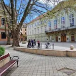 Rent 2 bedroom apartment of 69 m² in Kaposvár