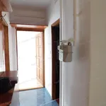 Rent 2 bedroom apartment of 55 m² in Szombathely