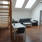 Rent 1 bedroom apartment of 90 m² in Brno