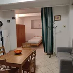 Rent 1 bedroom apartment of 35 m² in Collesalvetti