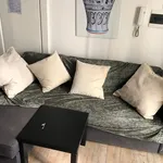 Rent 1 bedroom apartment in Florence