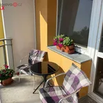 Rent 2 bedroom apartment of 37 m² in Rousínov