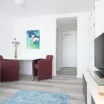 Rent 1 bedroom apartment in Munich