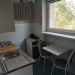 Rent 1 bedroom apartment of 33 m² in Łódź