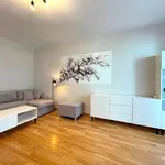 Rent 2 bedroom apartment of 45 m² in Piotrków Trybunalski