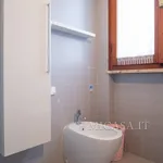 Rent 3 bedroom apartment of 75 m² in Pisa