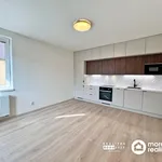 Pronajměte si 3 ložnic/e byt o rozloze 42 m² v Brno