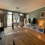 Rent 2 bedroom apartment of 47 m² in Dresden