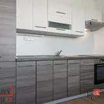 Rent 1 bedroom apartment in Ostrava