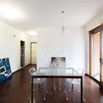 Rent 4 bedroom apartment of 125 m² in Casalecchio di Reno