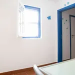 Rent 1 bedroom apartment of 30 m² in lisbon