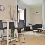 Rent 1 bedroom apartment in Brno