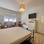 Rent 3 bedroom apartment of 77 m² in Roma