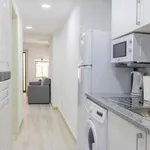 Rent 1 bedroom apartment in Lisbon