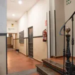 Rent 2 bedroom apartment in madrid