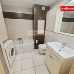 Rent 3 bedroom apartment of 79 m² in Zlín